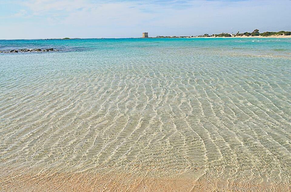 Villa "Franca" بورتو سيساريو المظهر الخارجي الصورة