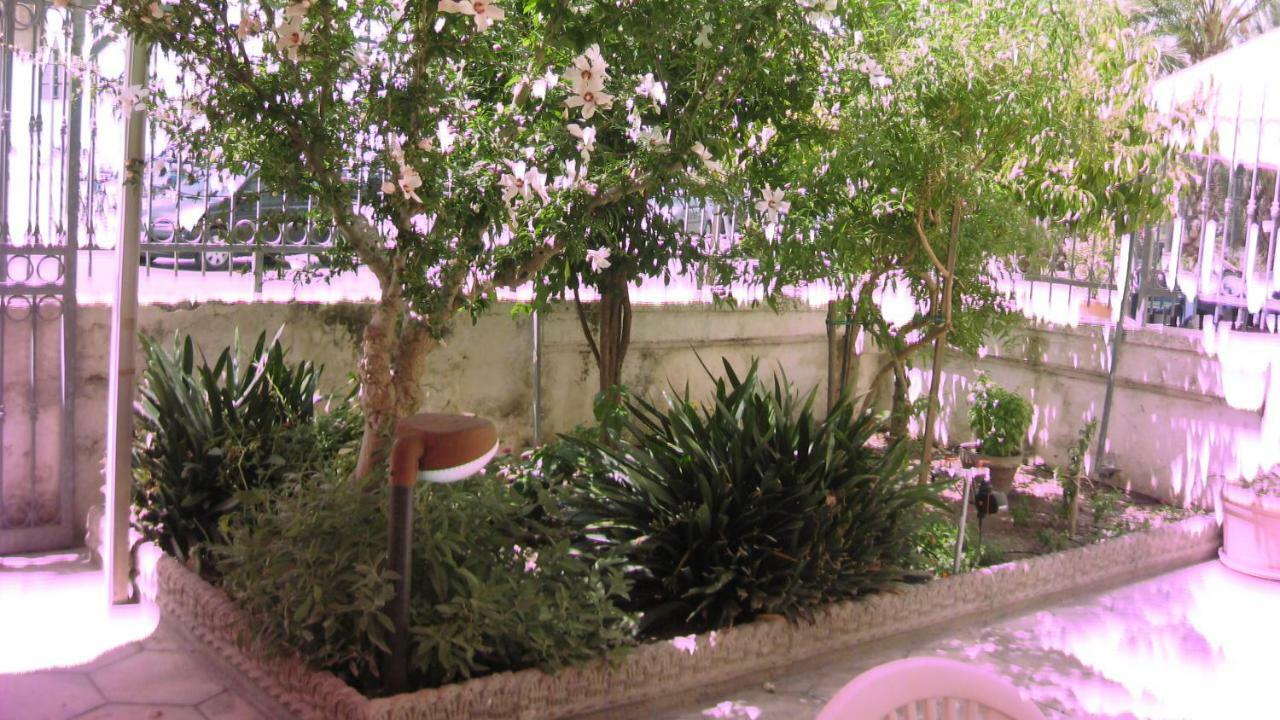 Villa "Franca" بورتو سيساريو المظهر الخارجي الصورة