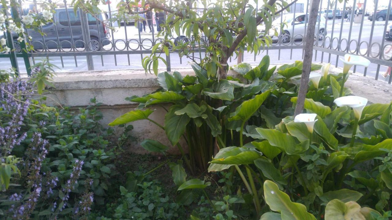 Villa "Franca" بورتو سيساريو المظهر الخارجي الصورة